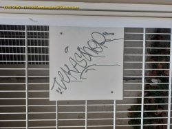 Die tatsächliche Ausdehnung des Phänomens in Frankreich