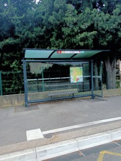 Warum ist der Markt von einigen großen Gruppen dominiert?