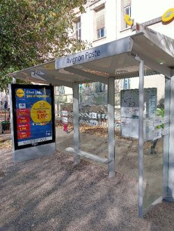 Die Vegetalisierung der Reiseunterkünfte