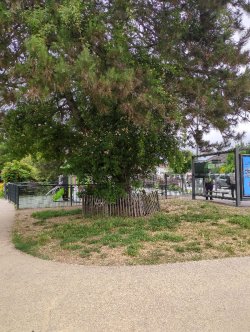 Warum sind grüne Flächen für eine Gemeinschaft strategisch?