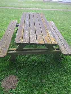 2. Arten von Picknicktischen verfügbar