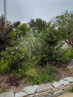 How many green spaces does France have?