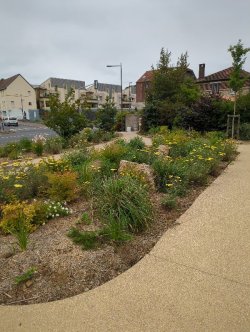 What is the lifespan of landscape features?