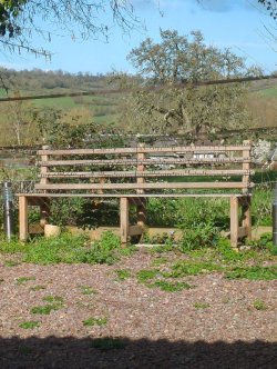 1. Safety standards for public benches