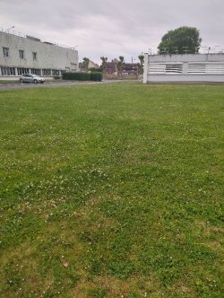 What exactly is a green space?