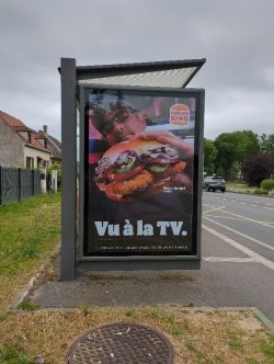 Innovations and Technologies in Bus Shelters