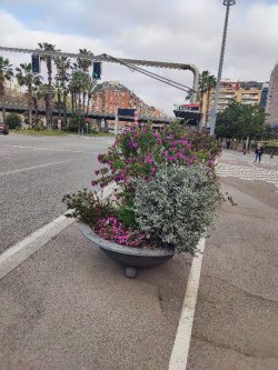 1.¿Qué es una jardinera?