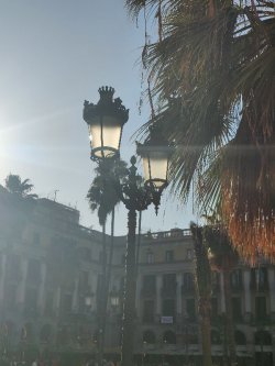 Los diferentes tipos de lámparas