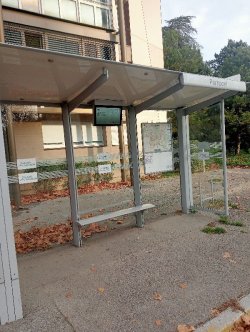 7. ¿Cómo denunciar un abrigo de autobús dañado en mi municipio?