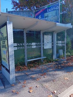 Retiros de experiencia en el terreno