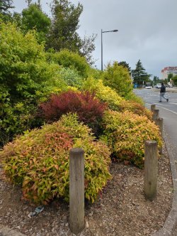 1. Les Normes de Sécurité des Espaces verts