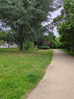 Quels sont les textes qui encadrent les espaces verts en France ?