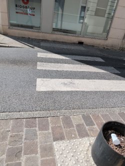 I servizi proposti dal fornitore