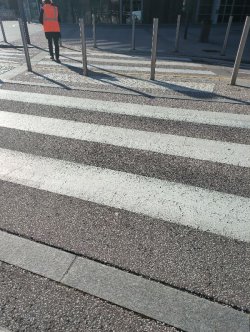 1.De ervaring en specialisatie van de dienstverlener