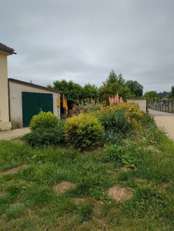 4. Uitdagingen en uitdagingen van het beheer van groene ruimtes