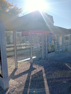 10 spørsmål og svar om abribus