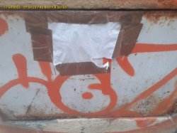 Jak ocenić reaktywność i zasięg terytorialny?