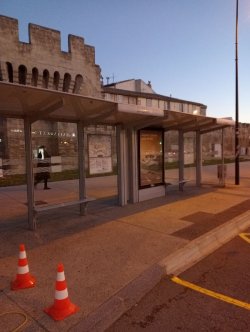 Como estruturar seu edital de licitação?