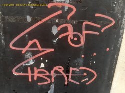 O caso particular dos grafites injuriosos e discriminatórios