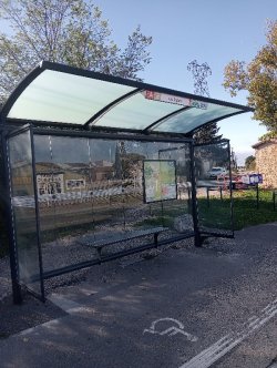 Råd och normer för busshalter: vad säger lagstiftningen