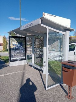 Vad är den standardstorleken på en busslampa?