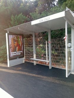 10. Hur kan en kommun finansiera sina bussstationer?