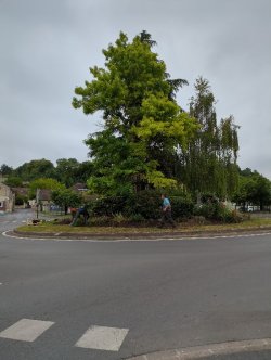 Miljö- och ekologiska normer 2.