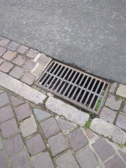 Varför är gräskärr strategiska för en gemenskap?